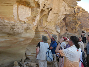 Dr Stephen Harvey, Kanais